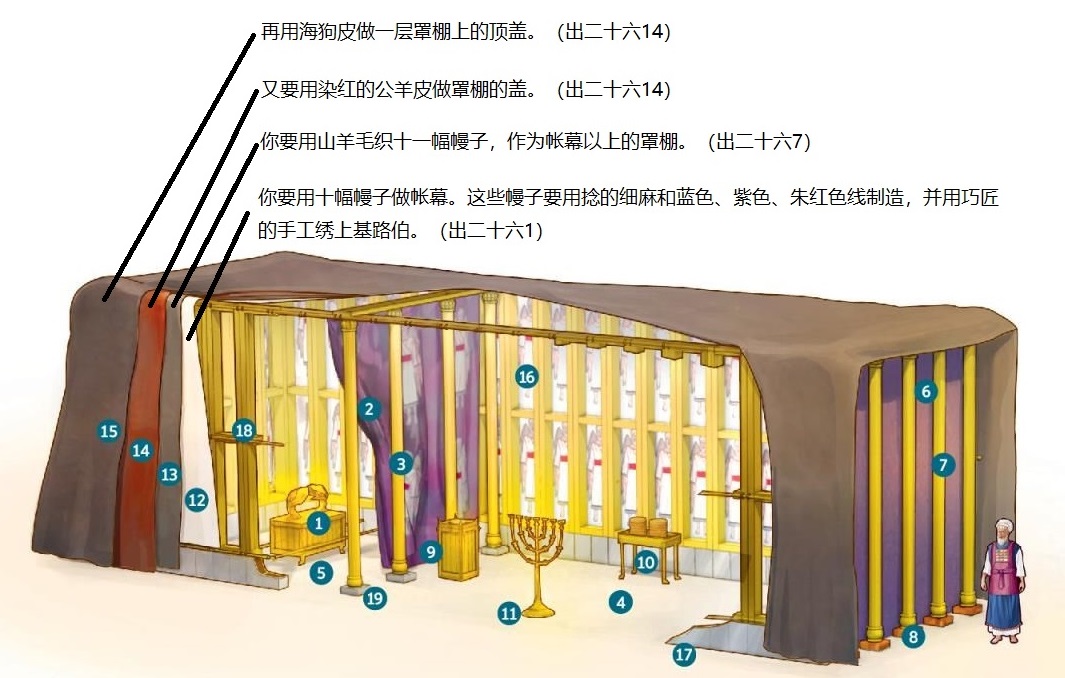 上图：帐幕4层幔子示意图。挂在最里层的是十幅细麻和蓝色、紫色、朱红色线制造的彩色幔子（出二十六1-6），外面罩上十一幅山羊毛的罩棚（出二十六7-13），然后用染红的公羊皮做罩棚的盖（出二十六14），最外层用海狗皮做罩棚上的顶盖（出二十六14）。圣经并没有提到公羊皮罩棚盖和海狗皮顶盖的尺寸，有可能只是遮盖了帐幕顶部。